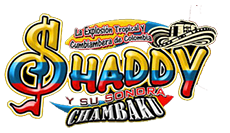 Shaddy